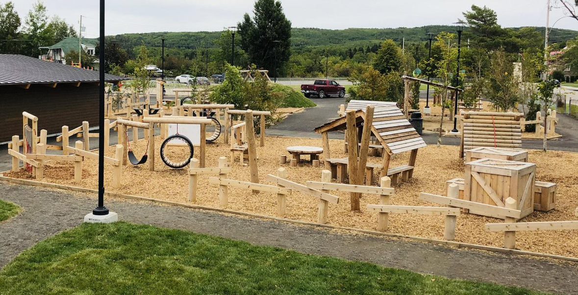 Seven advantages of Wood Playsets
