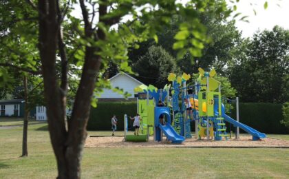 Playground Grass